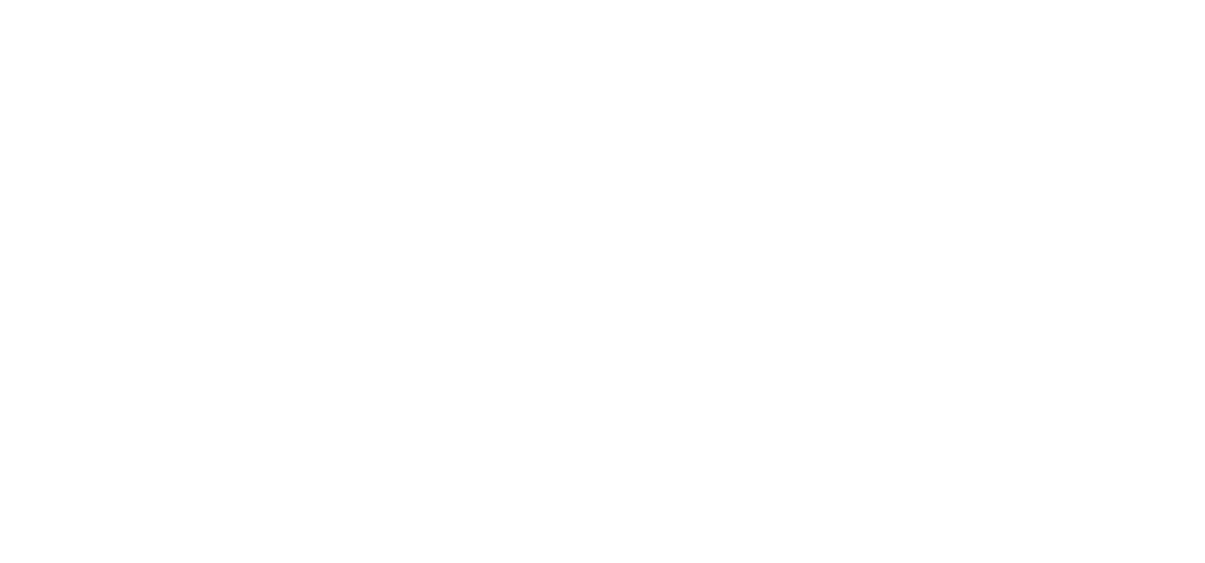 StarTech SerVices – usługi dla biznesu